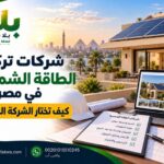 شركات تركيب الطاقة الشمسية في مصر | كيف تختار الشركة المناسبة؟